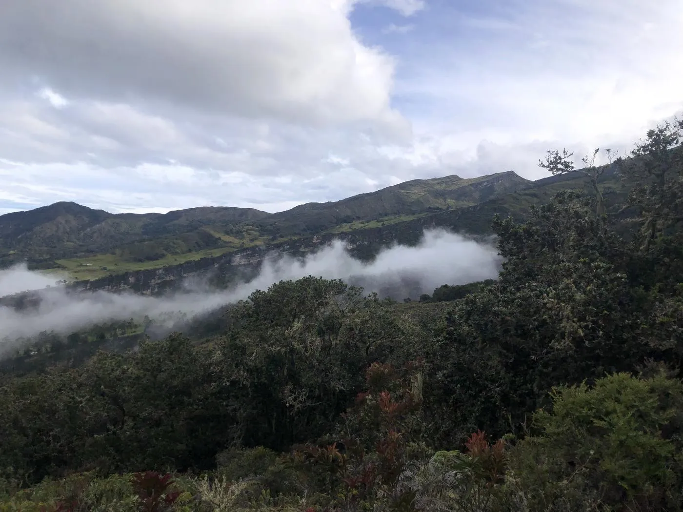 Vereda Tembladal