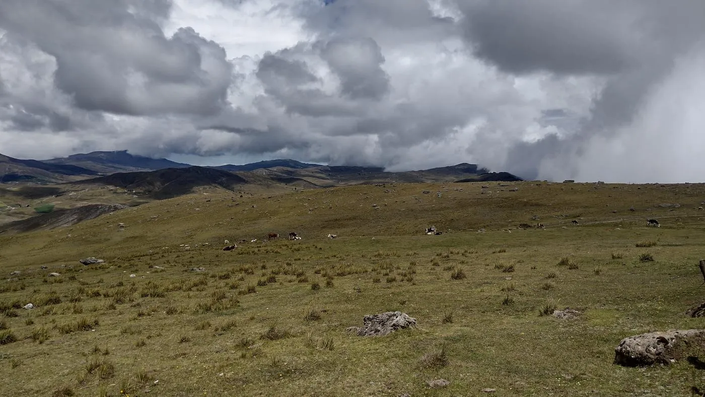 Páramo de Santurbán