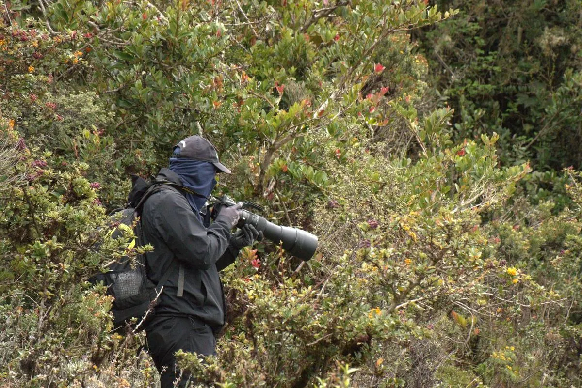 Registro fotográfico de fauna