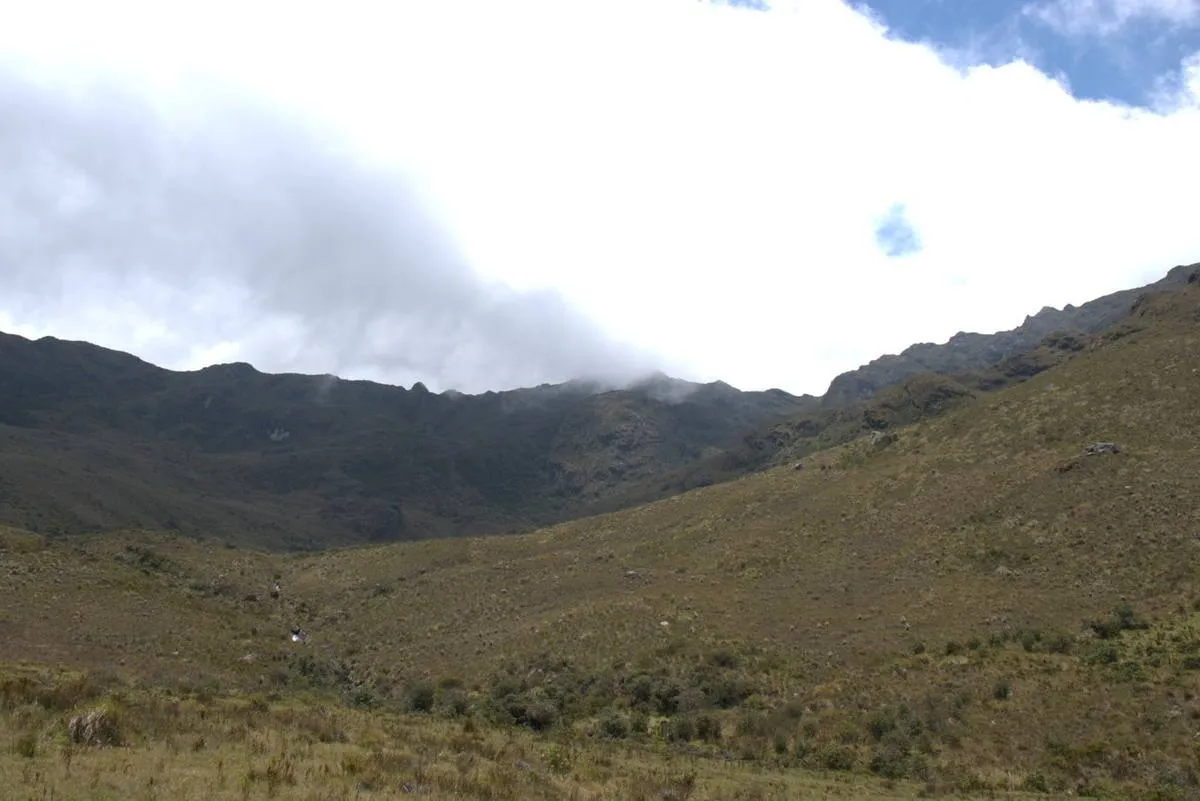 Valle altoandino
